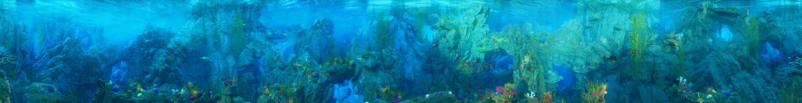 S10_underwater (00600)_widescreen_lowres